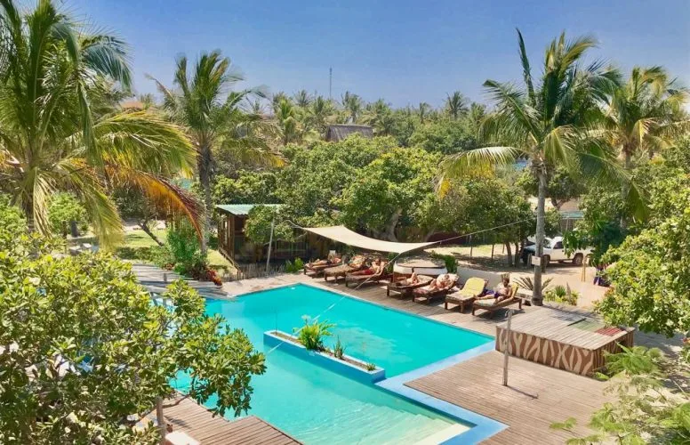 Piscine et transats dans un cadre tropical avec végétation luxuriante