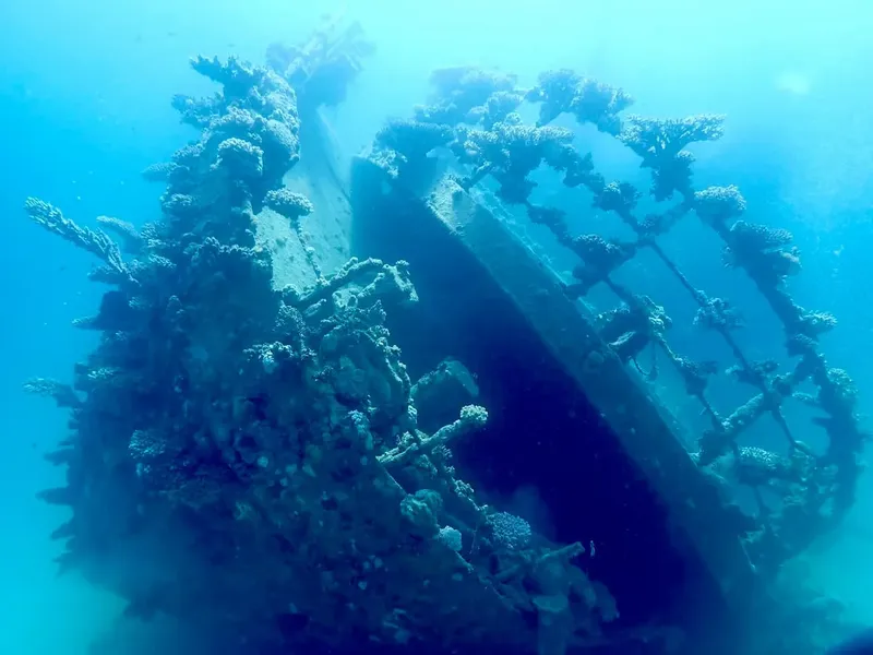 Épave de bateau colonisée par la vie marine, plongée sous-marine