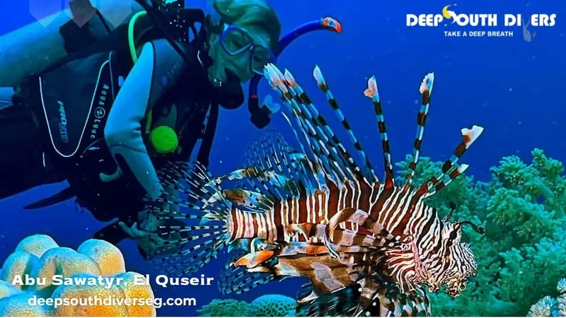 Plongeur observant un poisson-lion coloré au milieu des coraux