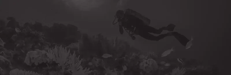 Plongeur en exploration sous-marine, nageant au-dessus d'un récif corallien
