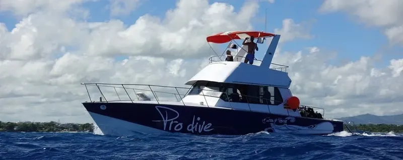 Bateau de plongée bleu et blanc navigue sur une mer calme