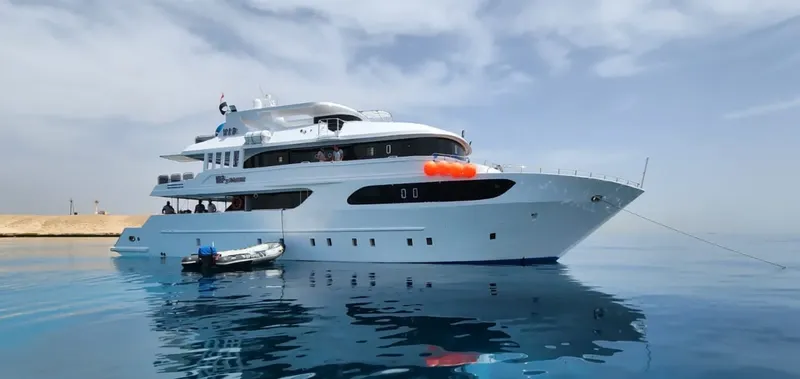 Grand bateau de croisière blanc avec des passagers sur le pont