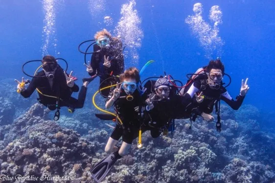 Quatre plongeurs souriants en combinaison flottent dans l'eau bleue