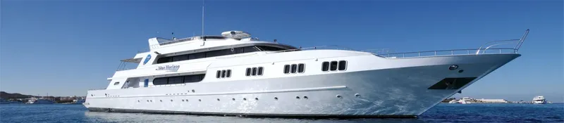 Grand bateau de croisière blanc naviguant sur une mer bleue calme
