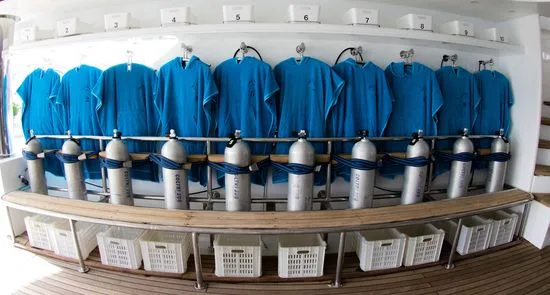 Rangée de bouteilles de plongée et de polos bleus accrochés