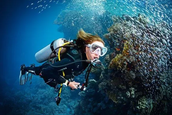 Plongeuse explorant un récif corallien avec un banc de poissons