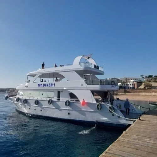 Grand bateau de plongée amarré à un ponton en bois bleu