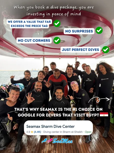 Groupe de plongeurs souriants sur le pont d'un bateau en Égypte