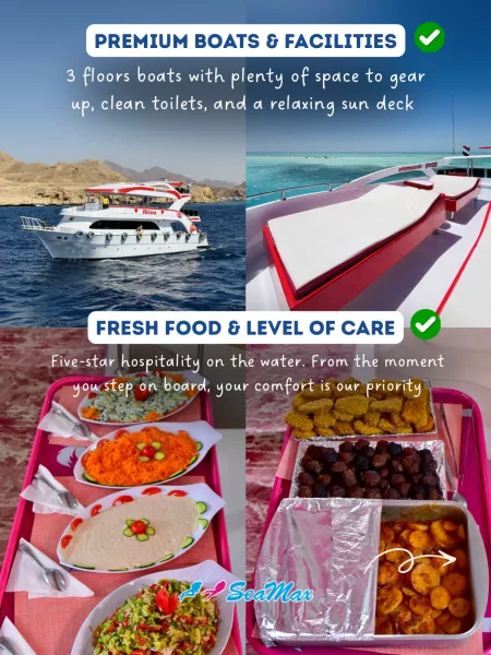 Montage photo : bateau de plongée, repas à bord, confort et services