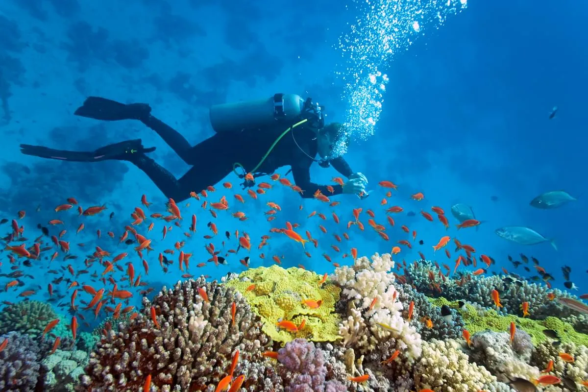 SeaMax Sharm
