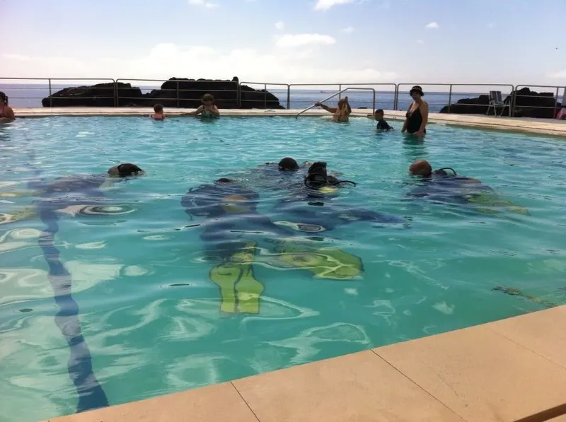 Des plongeurs s'entrainent dans une piscine avec des instructeurs