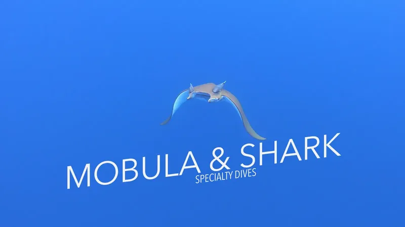Raie manta et requin, plongées spécialisées, fond bleu dégradé