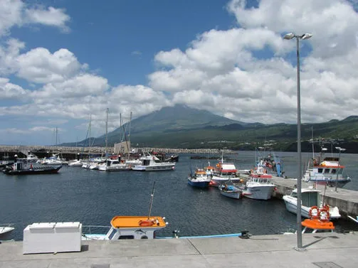Port de plaisance ensoleillé avec des bateaux amarrés et une montagne en arrière-plan