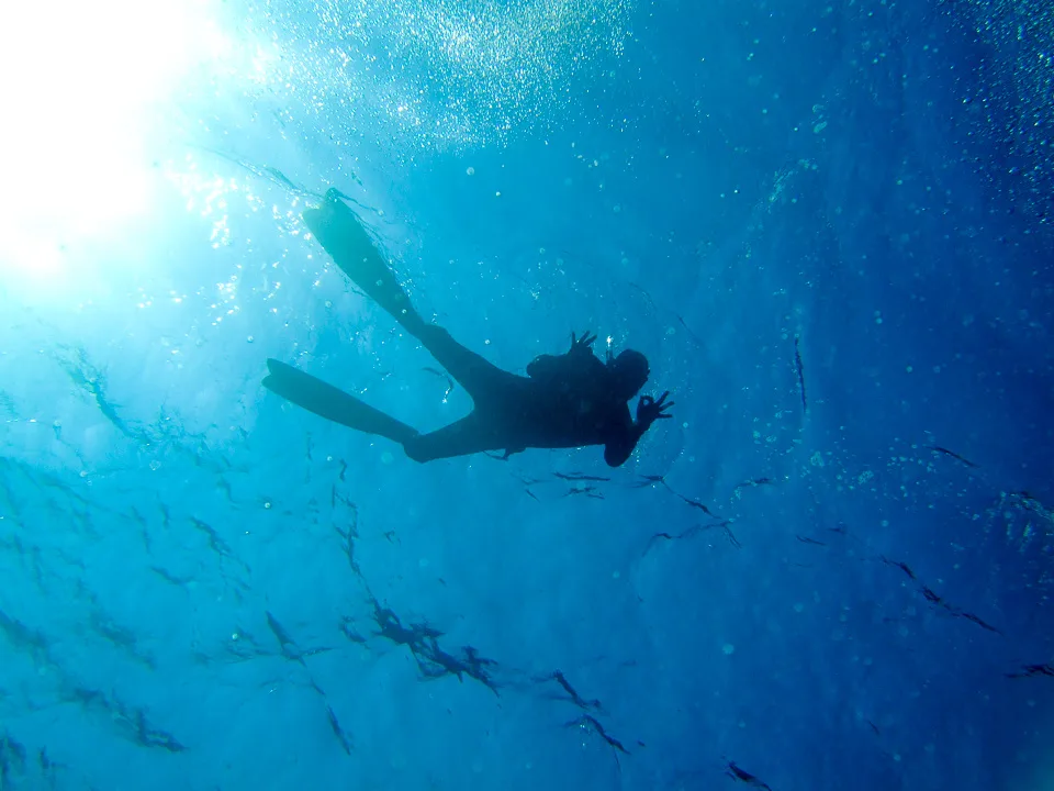 Black Rock Dive Centre, Renate Emmler