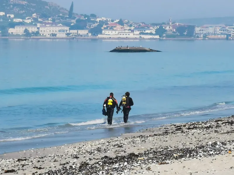 Deux plongeurs sortent de l'eau sur une plage rocheuse
