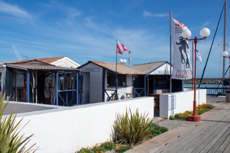 Façade d'un centre de plongée avec drapeau et végétation côtière