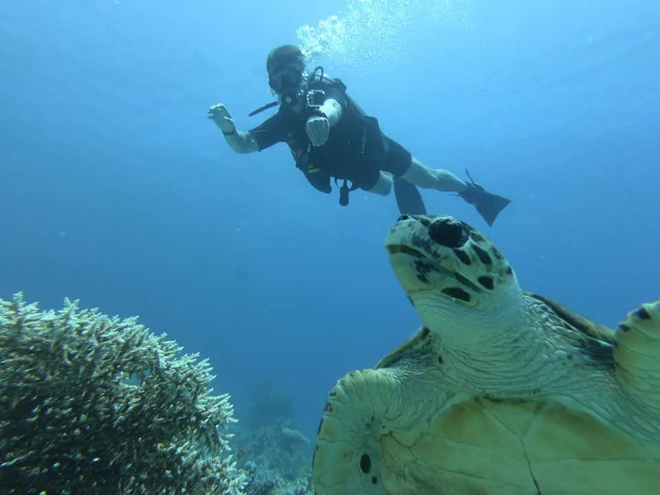 Plongeur nageant au-dessus d'une tortue de mer dans l'eau bleue