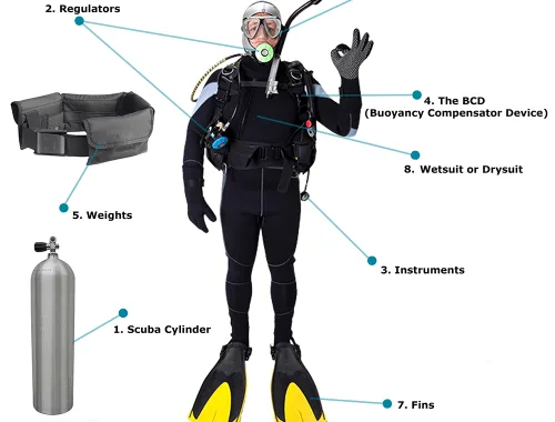 Plongeur en équipement complet, illustration pédagogique des différents accessoires