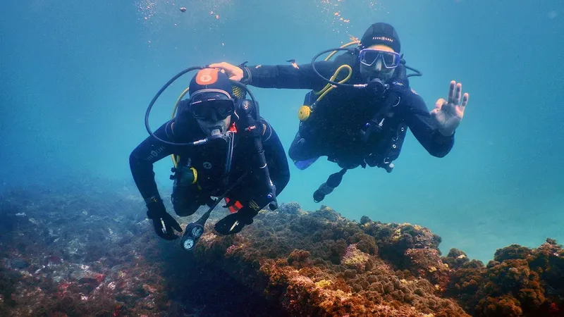 Deux plongeurs explorent un récifal corallien en eau bleue claire