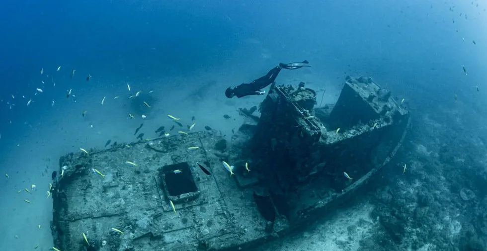 Plongeur explorant l'épave d'un bateau colonisé par des poissons