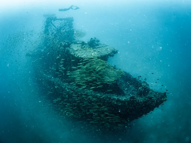 Épave de bateau colonisée par des poissons et un plongeur en arrière-plan