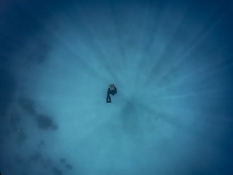 Une raie manta nage dans une eau bleue claire et lumineuse