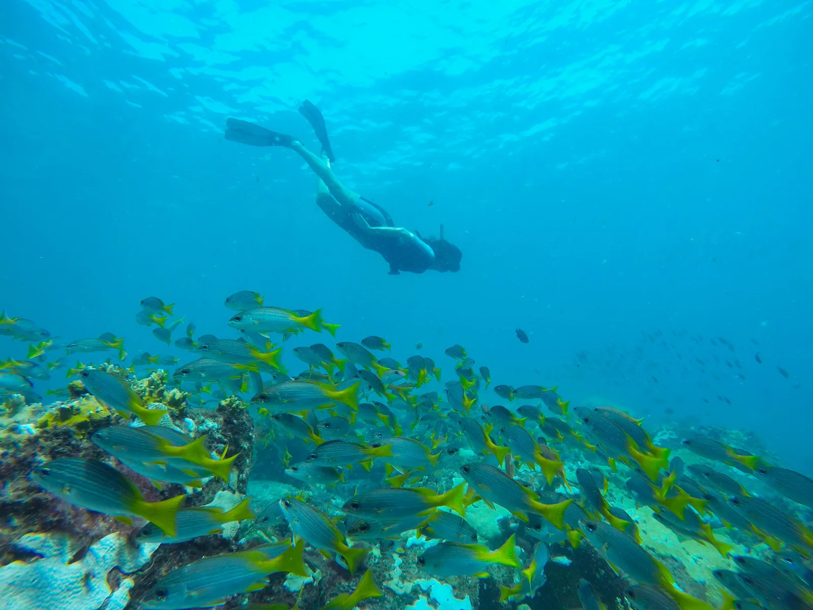 AllBlue Cabo Verde