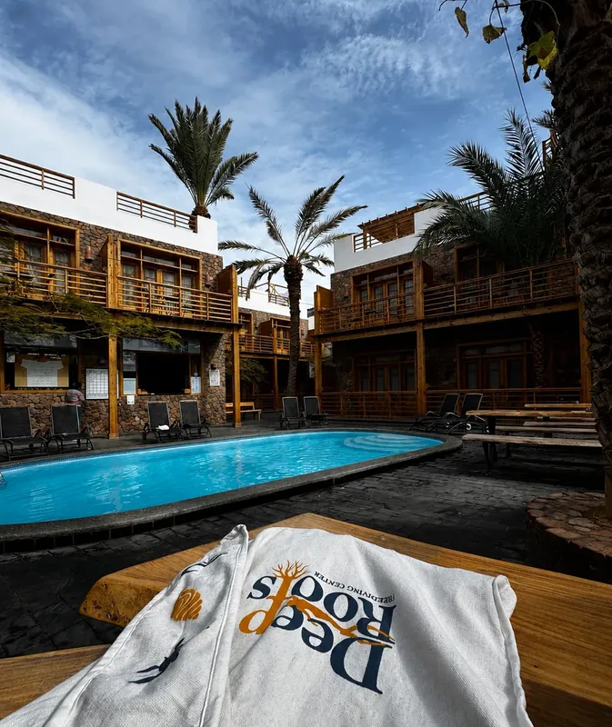 Bâtiment avec piscine et serviette portant un logo de centre de plongée