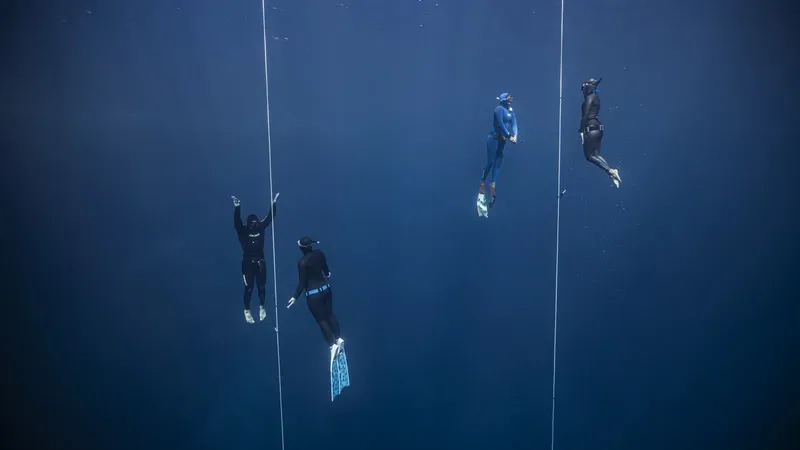 Quatre apnéistes descendant le long de lignes dans l'eau bleue
