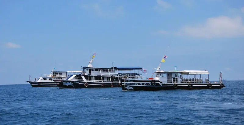 Trois bateaux de plongée noirs et blancs sur une mer bleue calme