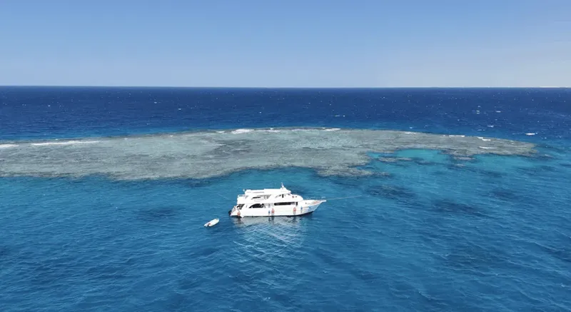 Bateau de plongée en mer face à un récif corallien