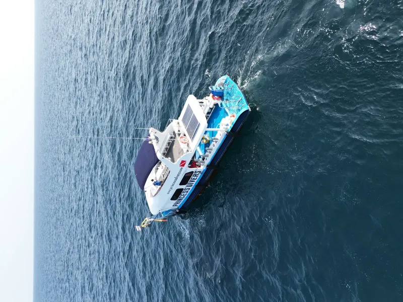 Catamaran blanc et bleu sur mer calme, avec logo visible