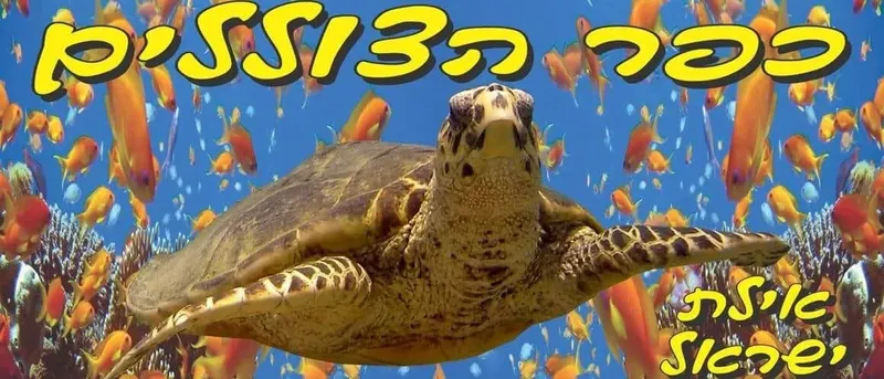 Tortue marine nageant au milieu d'un banc de poissons colorés