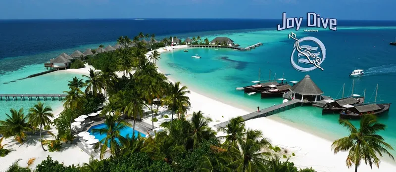 Vue aérienne d'un centre de plongée avec plage et bungalows