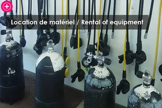Rangée de bouteilles de plongée avec détendeurs et manomètres jaunes