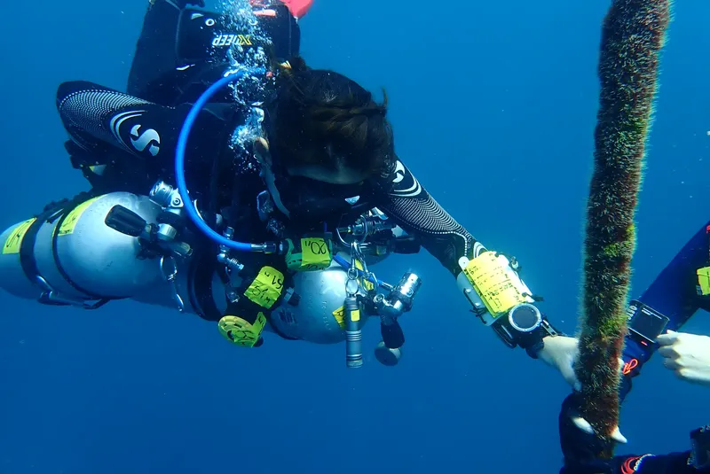 Plongeur examine un objet fixé à une structure sous-marine