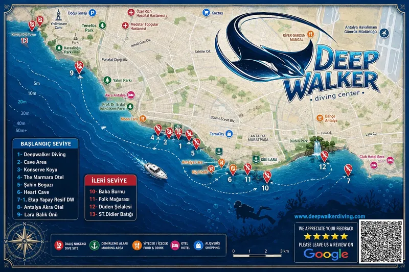 Carte de plongée avec épaves, faune marine et points d'accès