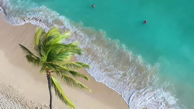 Vue aérienne d'une plage tropicale avec deux personnes dans l'eau