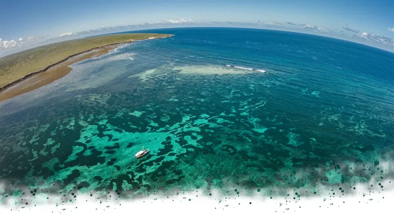 Vue aérienne d'un récif corallien turquoise avec un bateau de plongée