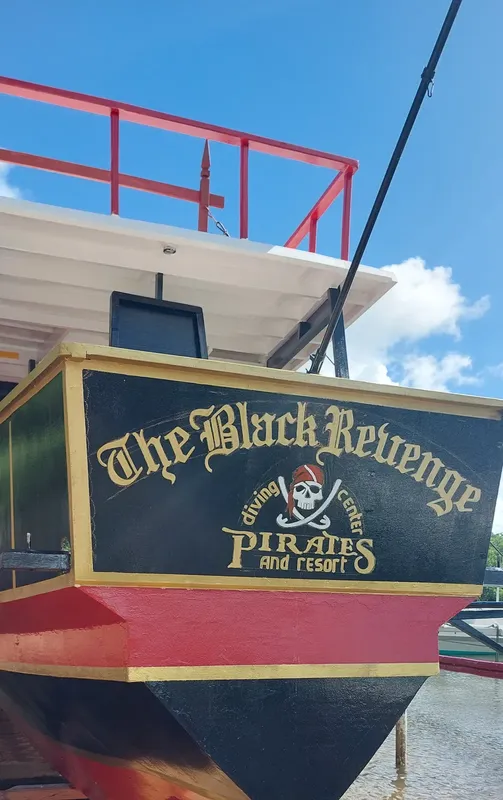 Proue d'un bateau de plongée décorée avec un logo de pirates