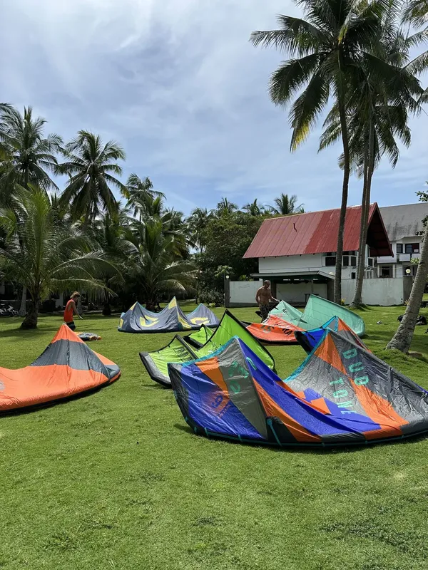 Kites de kitesurf colorés sur une pelouse devant un bâtiment