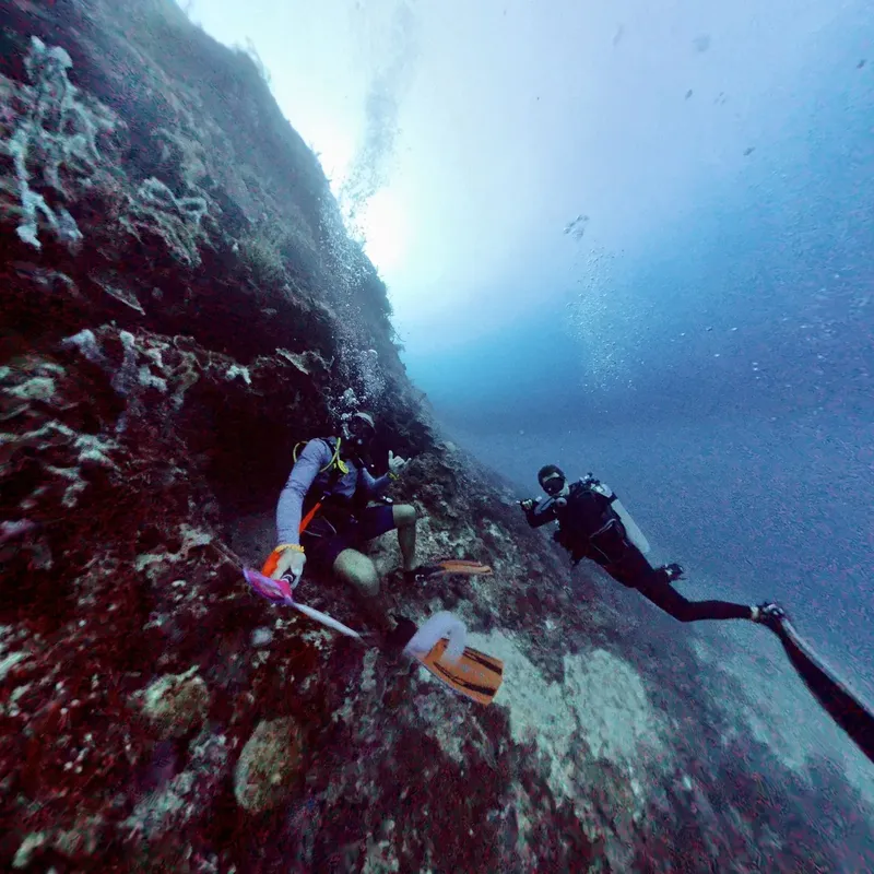 Deux plongeurs explorent une paroi rocheuse sous-marine, lumière bleutée
