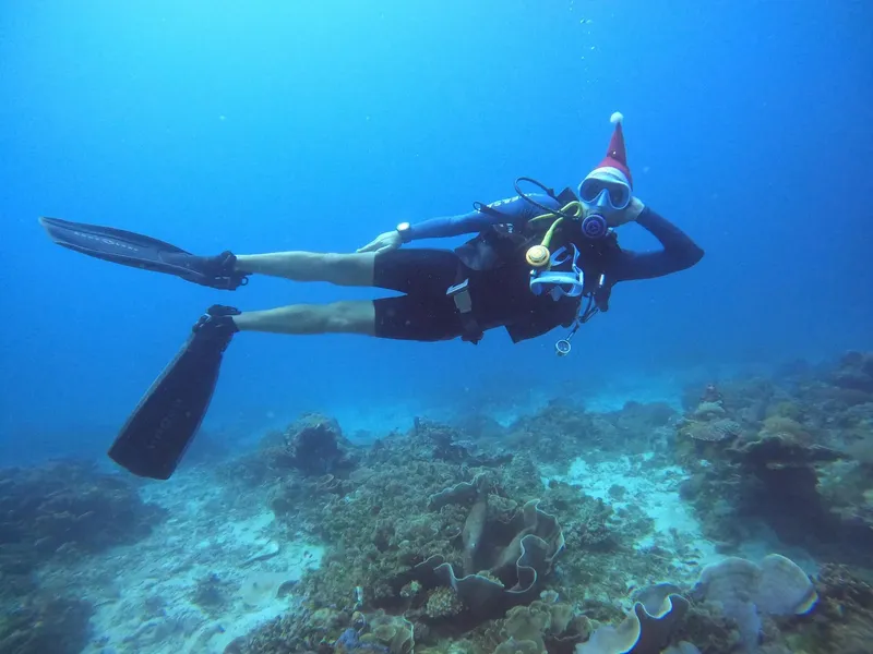 Plongeur en combinaison noire avec bonnet de Père Noël nage sous l'eau