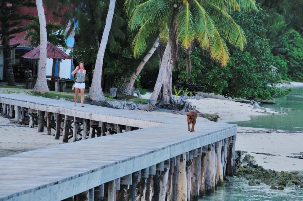 Micronésie – Palau – Carp Island – Palau Diving Center