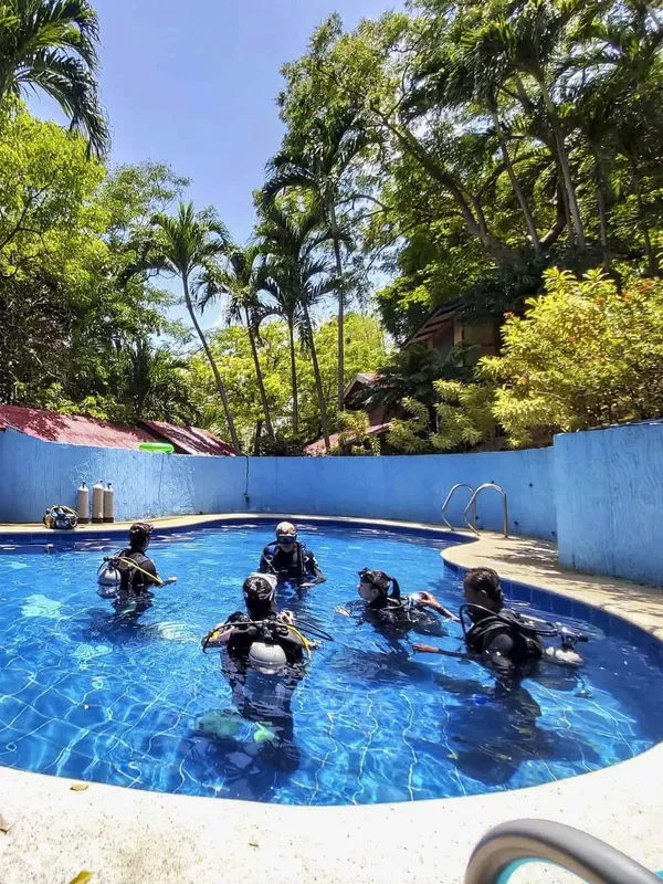 Plongeurs en formation dans une piscine, équipement complet, journée ensoleillée