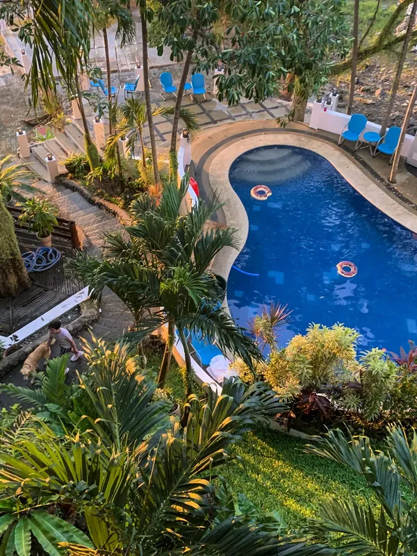 Vue aérienne d'une piscine entourée de végétation et de chaises longues