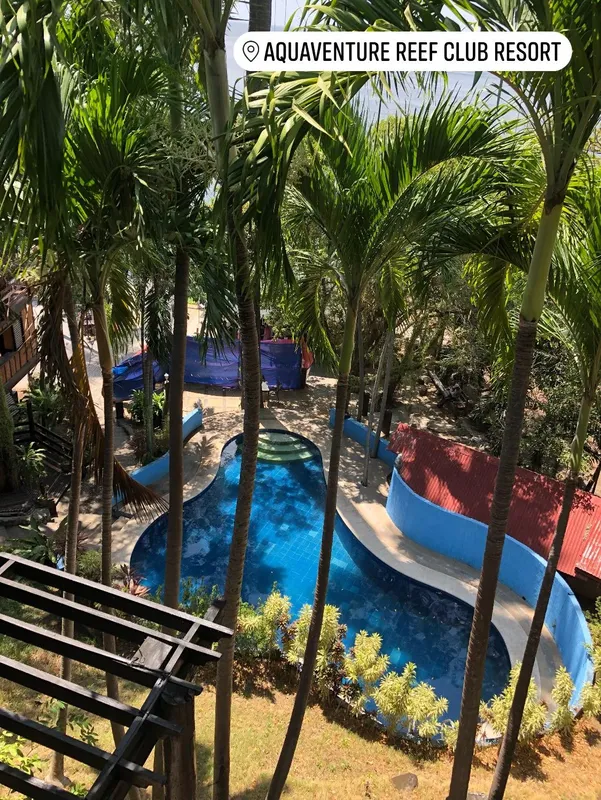 Vue aérienne d'une piscine avec végétation tropicale et bâtiments