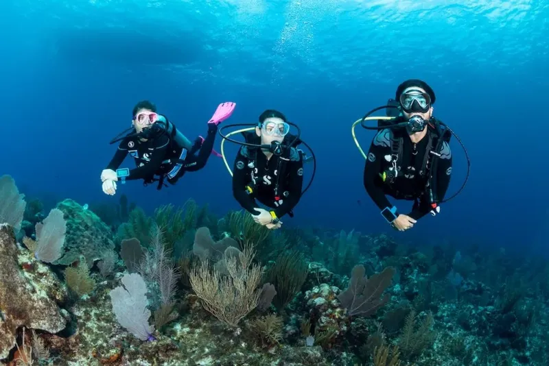 Trois plongeurs explorent un récif corallien en eau bleue claire