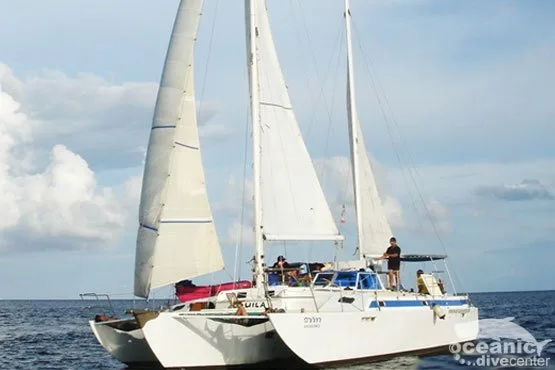 Catamaran à voile en mer avec des passagers et un équipage