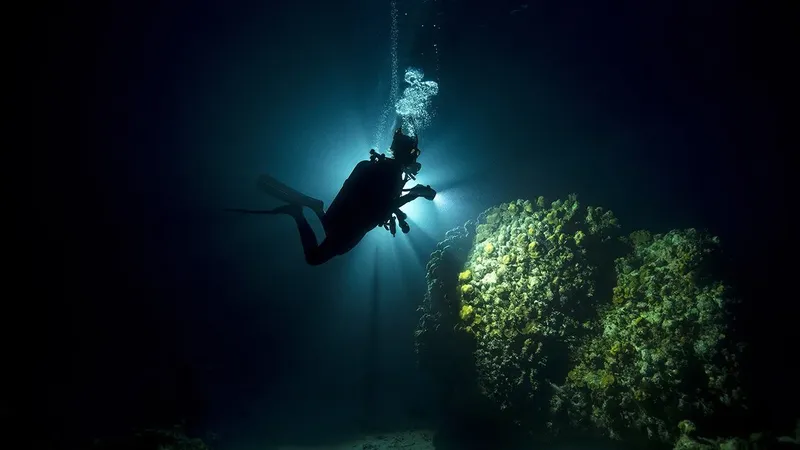 Plongeur en combinaison noire explore un récifal corallien éclairé